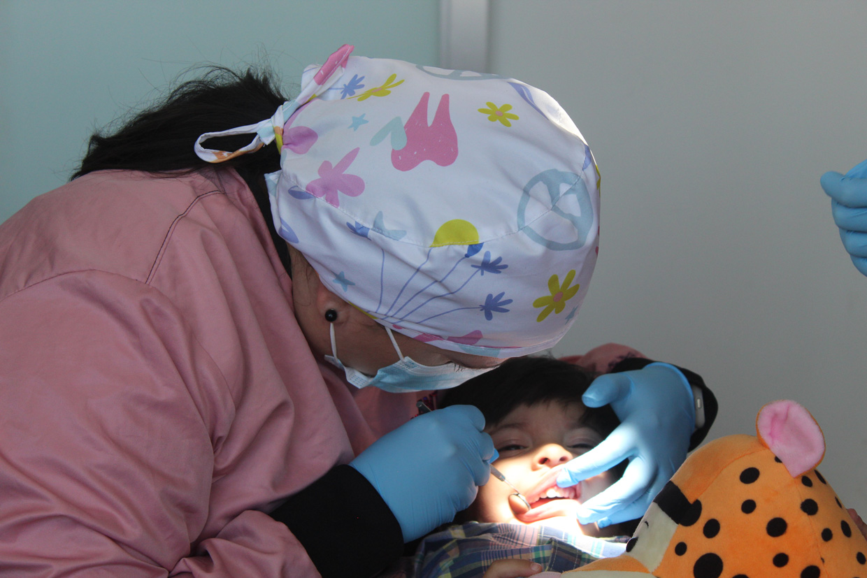 Salud bucodental debe  empezar desde los 6 meses de edad
