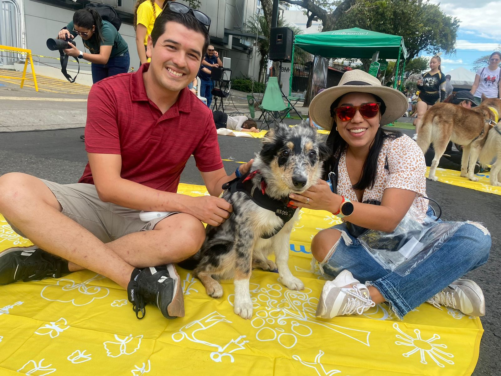 Disfrute de todo un día de actividades gratuitas con su mascota