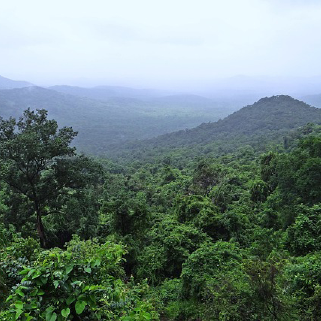 Net-Zero Research Fund de Scotiabank anuncia convocatoria de propuestas para descarbonizar sectores clave de la economía