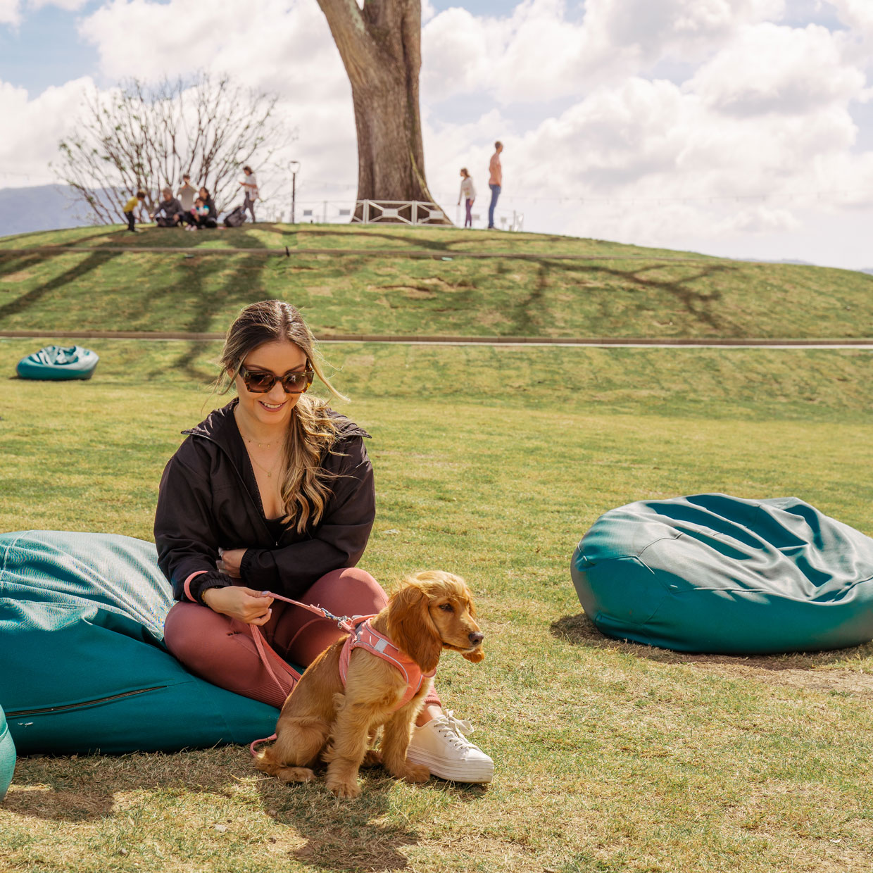 Aleste realizará su primera edición del “Summer Dog Fest”