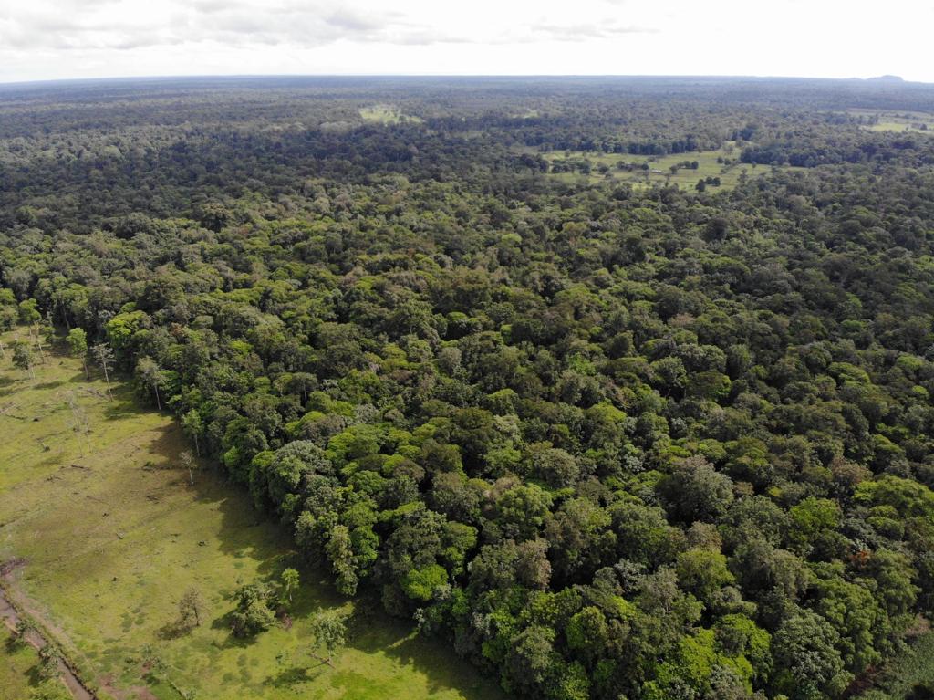 Japón establece alianza con Costa Rica para la valoración del bosque secundario