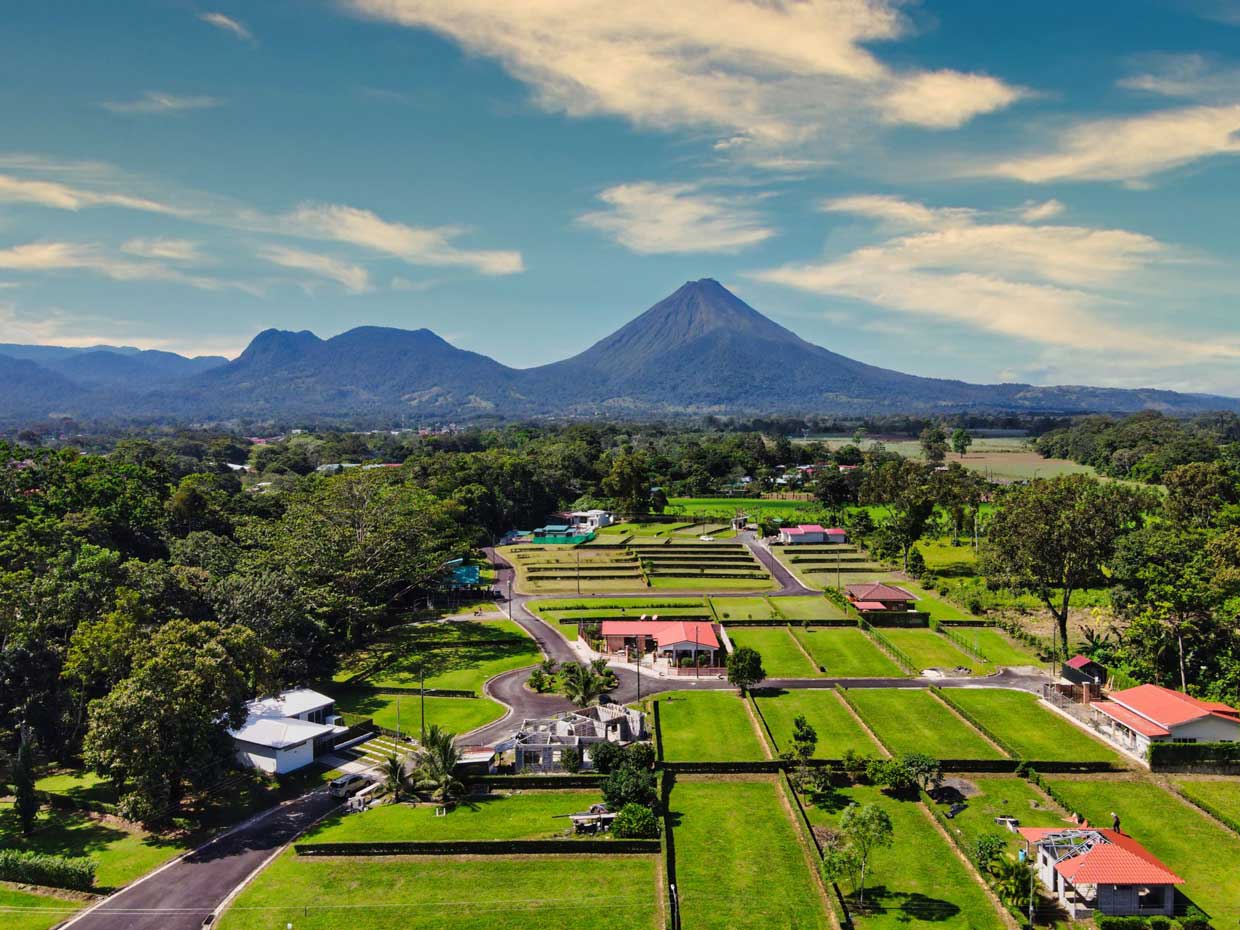 La Biofilia: la nueva tendencia en construcción que ayuda a mejorar la calidad de vida