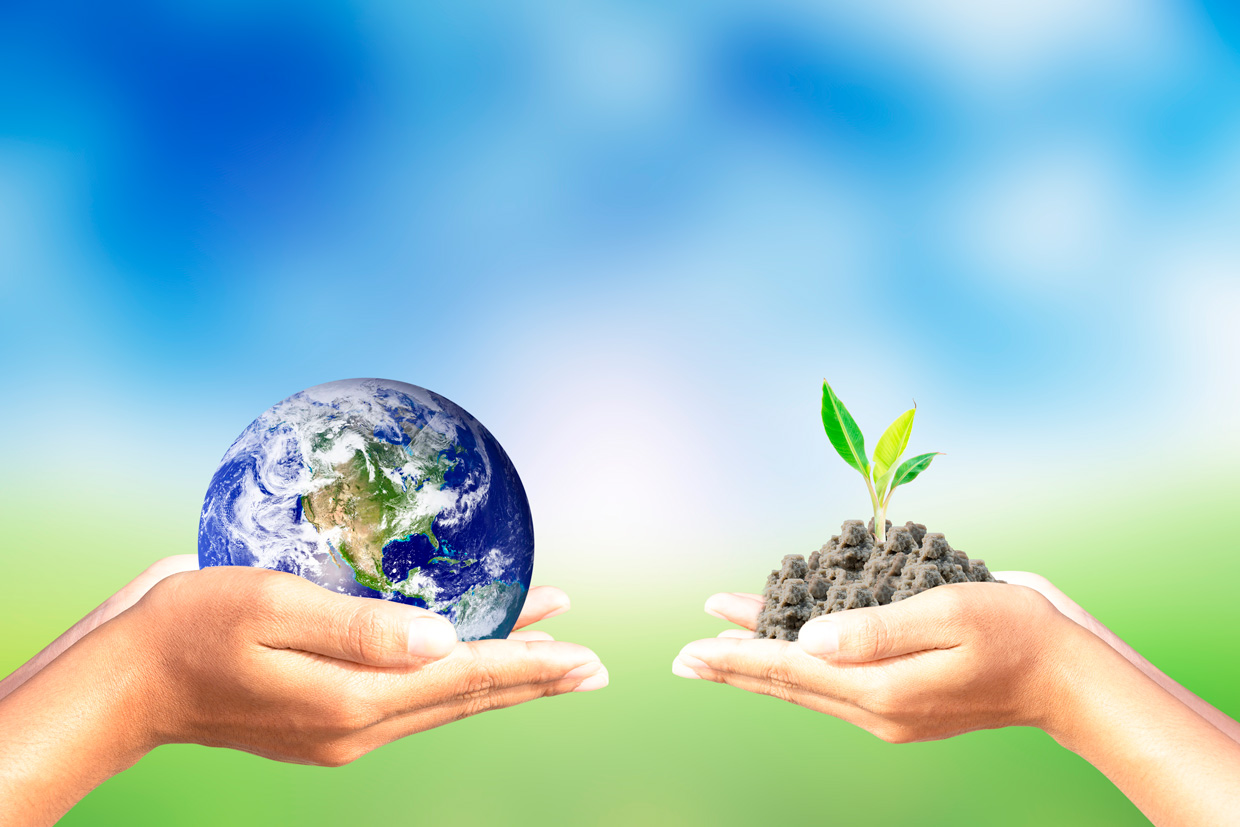 Sostenibilidad ambiental, el equilibrio entre el ser humano y la naturaleza