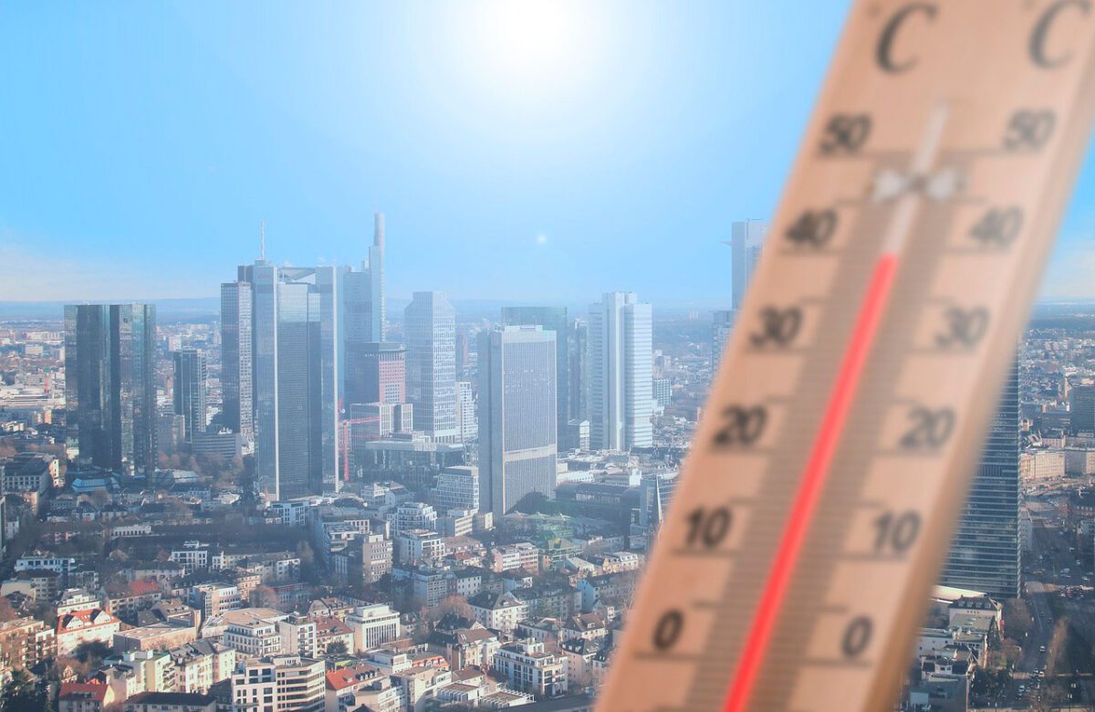 Agencia científica de la ONU confirma que la semana pasada rompió récord global de calor