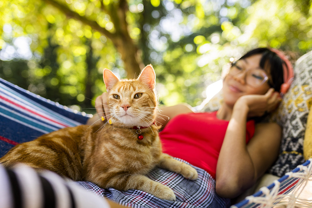 Conozca uno de los virus más comunes en los gatos y cómo prevenirlo