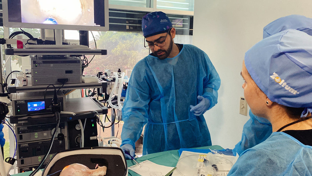 Microbiota: los aliados invisibles del sistema digestivo que conforman una “segunda huella dactilar” para la salud