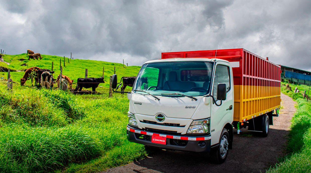 Cuatro consejos financieros si va a adquirir  un vehículo de trabajo
