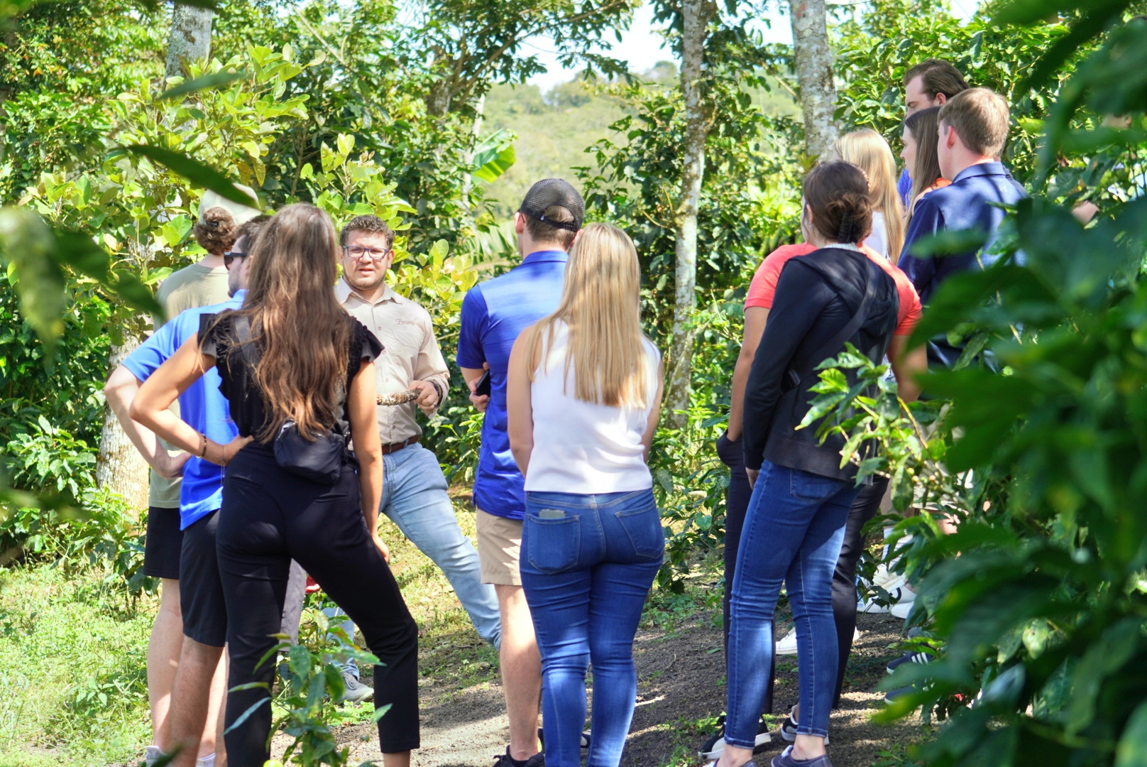 Tour de un día y almuerzo para celebrar el día del Padre