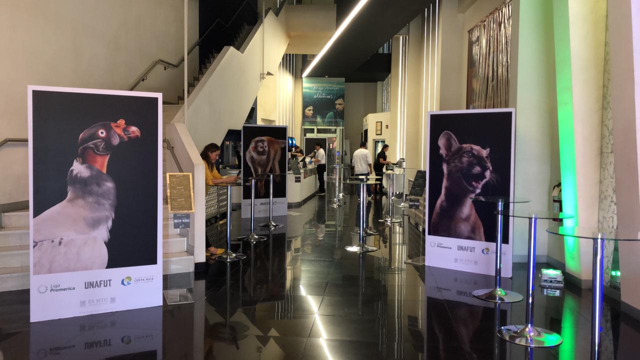 Asociación Costa Rica por siempre, Banco Promerica, Ex Situ y Liga Promerica se unen en una campaña de Protección de Animales en Peligro