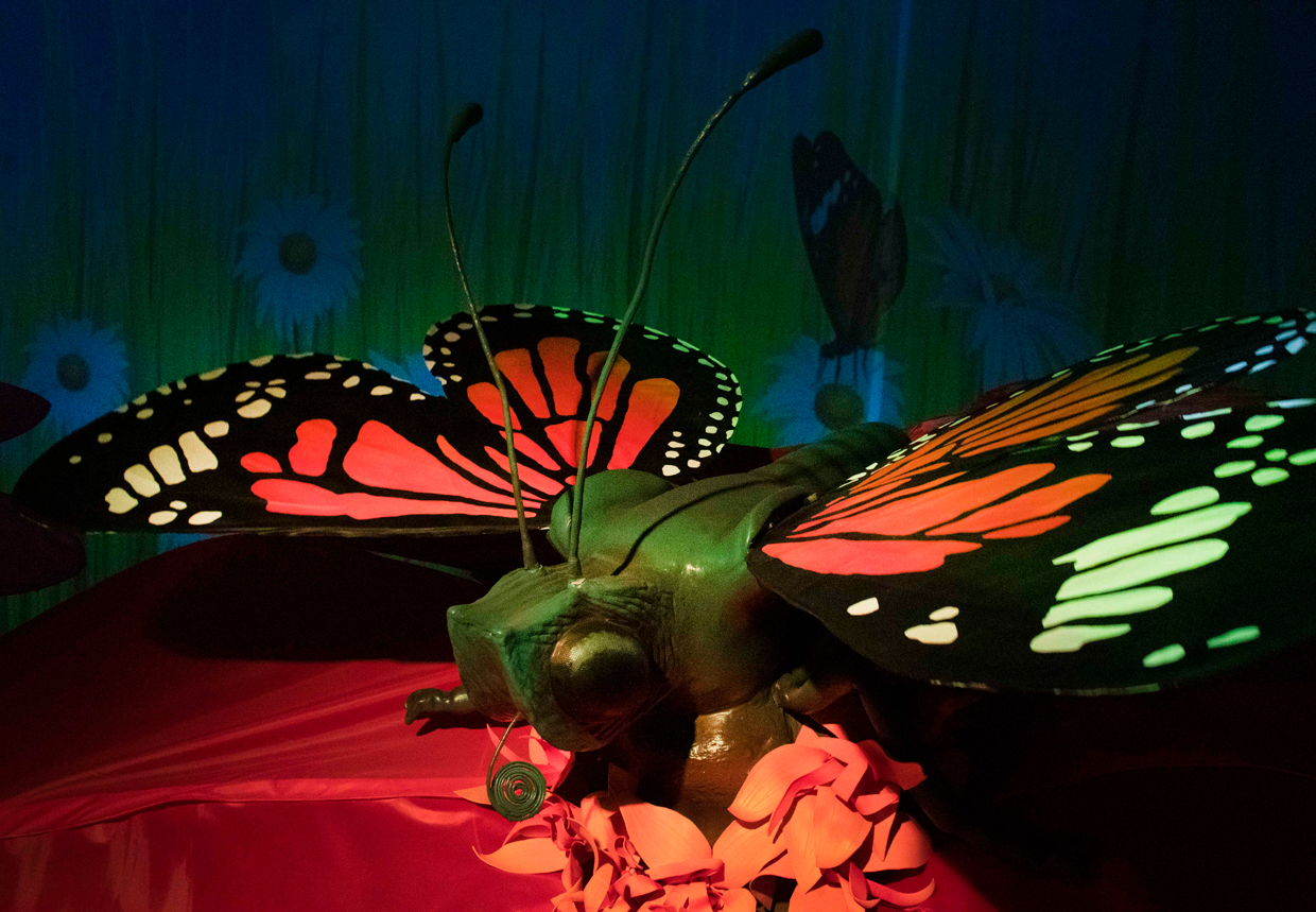 Costa Rica: Exhibición de figuras animatrónicas de más de 5 metros y un museo de insectos tomarán Heredia