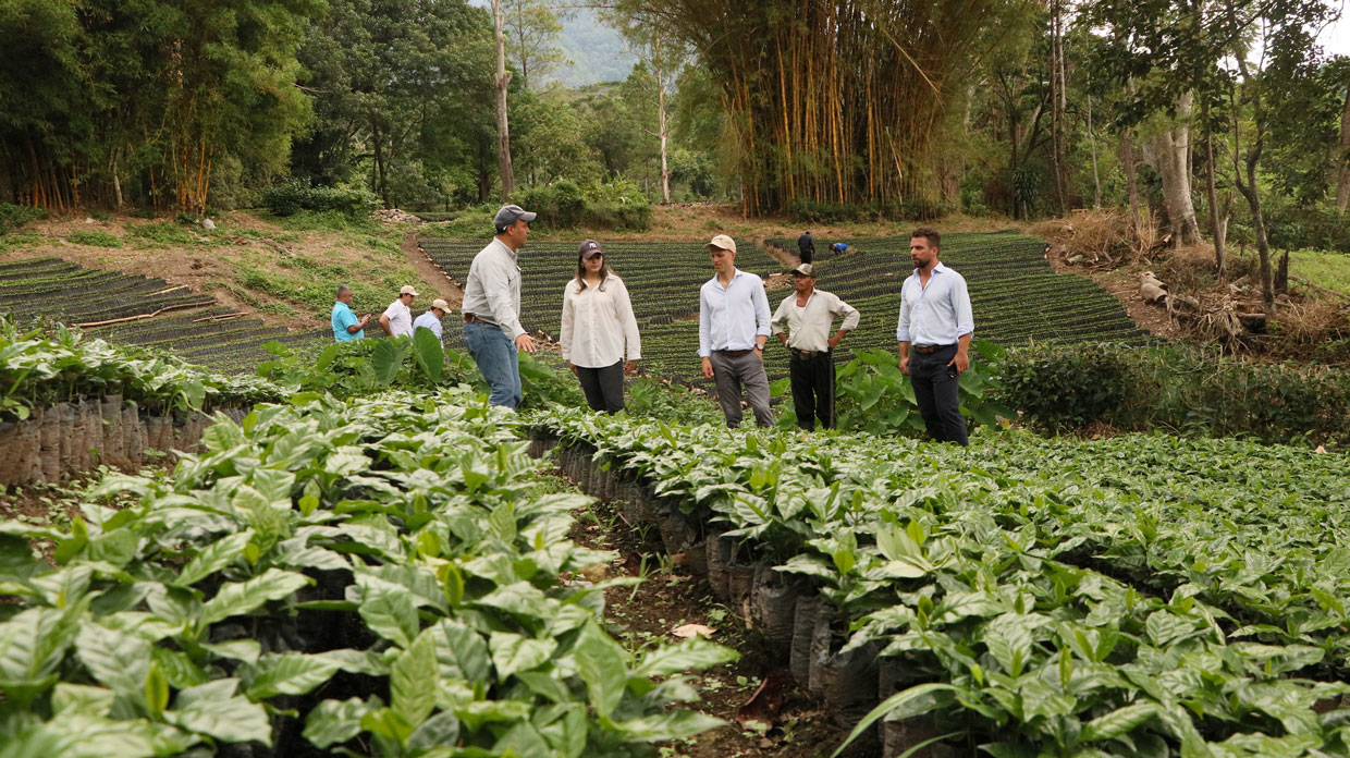Nicaragua: Delegación del DEG de Alemania vista a productor matagalpino