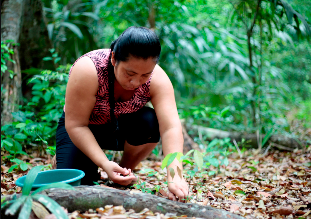 Nuevo estudio: A pesar de avances, comunidades de Mesoamérica experimentan amenazas de retroceso en derechos territoriales