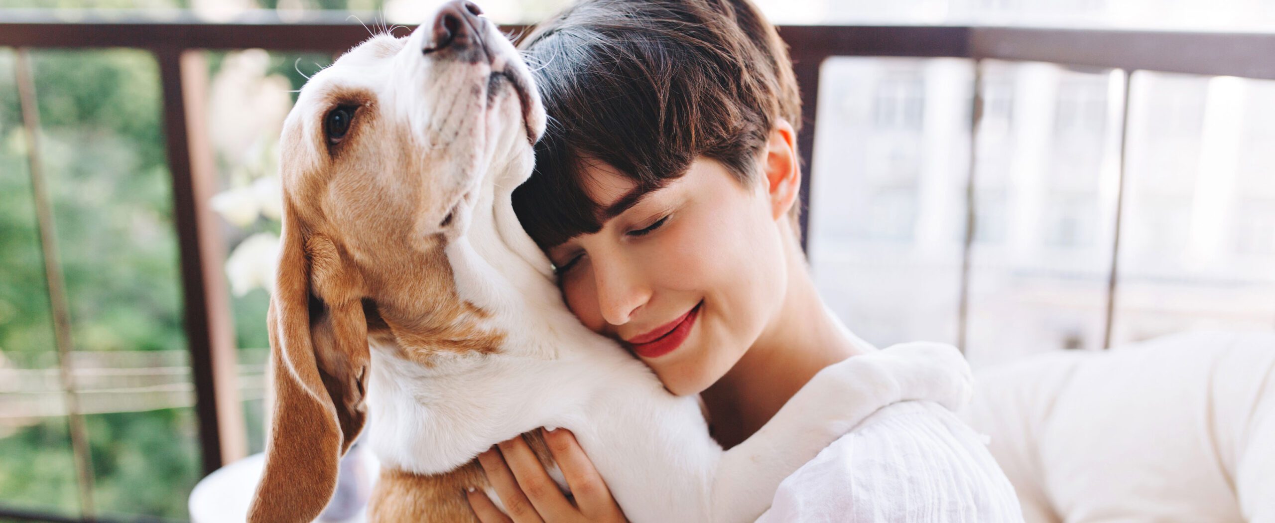 Tres consejos esenciales para que este sea un año saludable para las mascotas