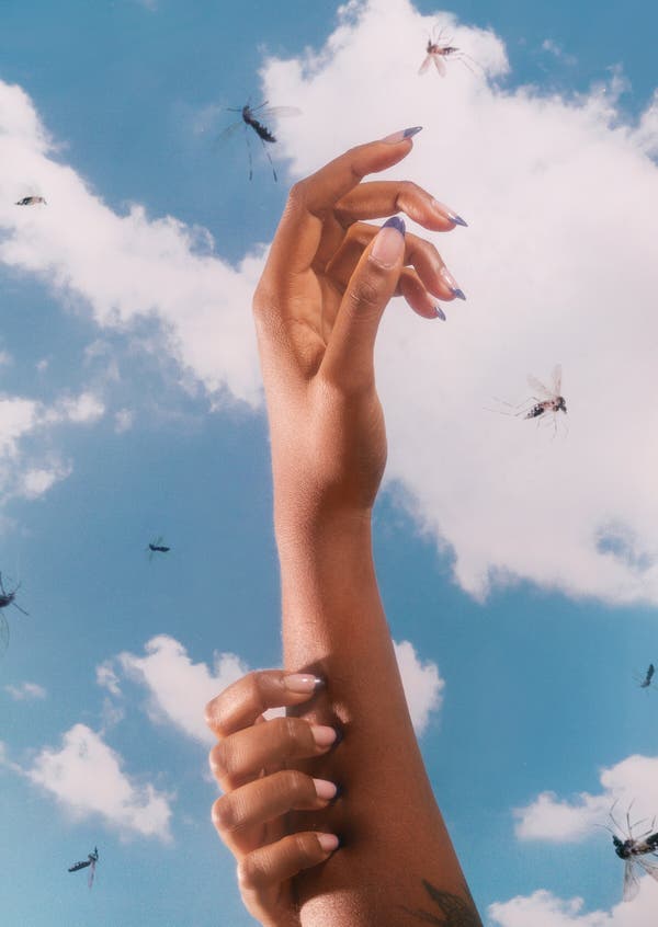 ¿Lo pican los mosquitos más que a los demás? Le decimos por qué