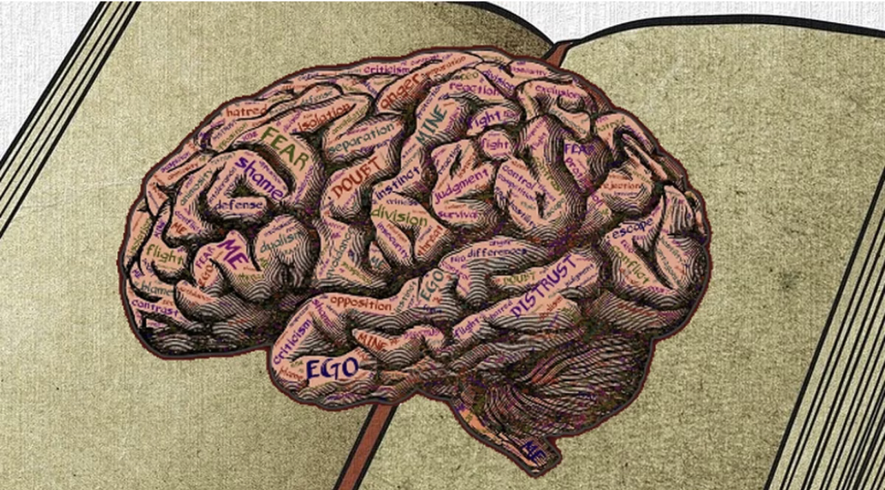 Cuatro libros para despertar la mente crítica: desafiar el pensamiento y cuestionarlo todo