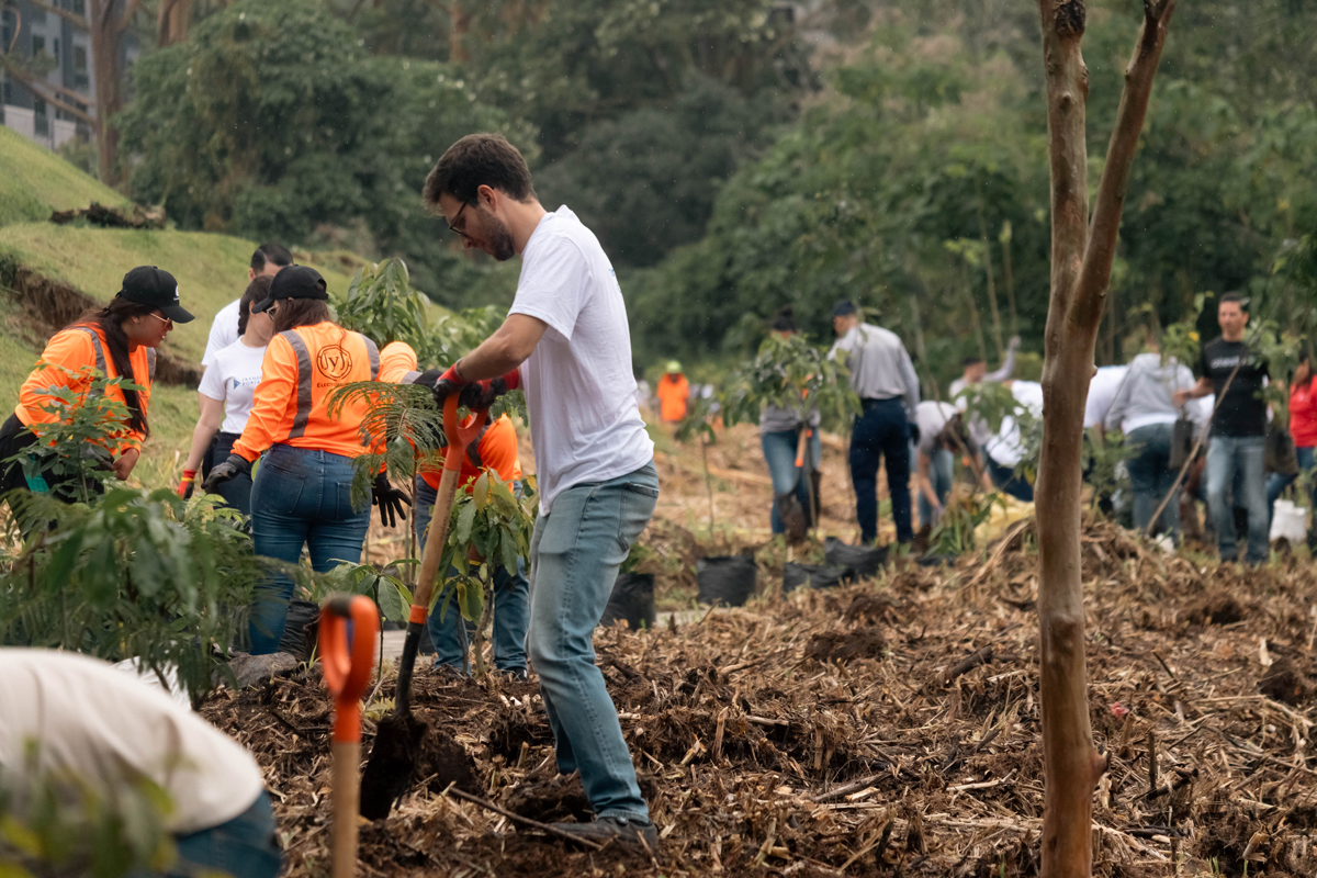 Costa Rica: Aleste suma más de 1650 árboles plantados como parte de su Estrategia de Biodiversidad