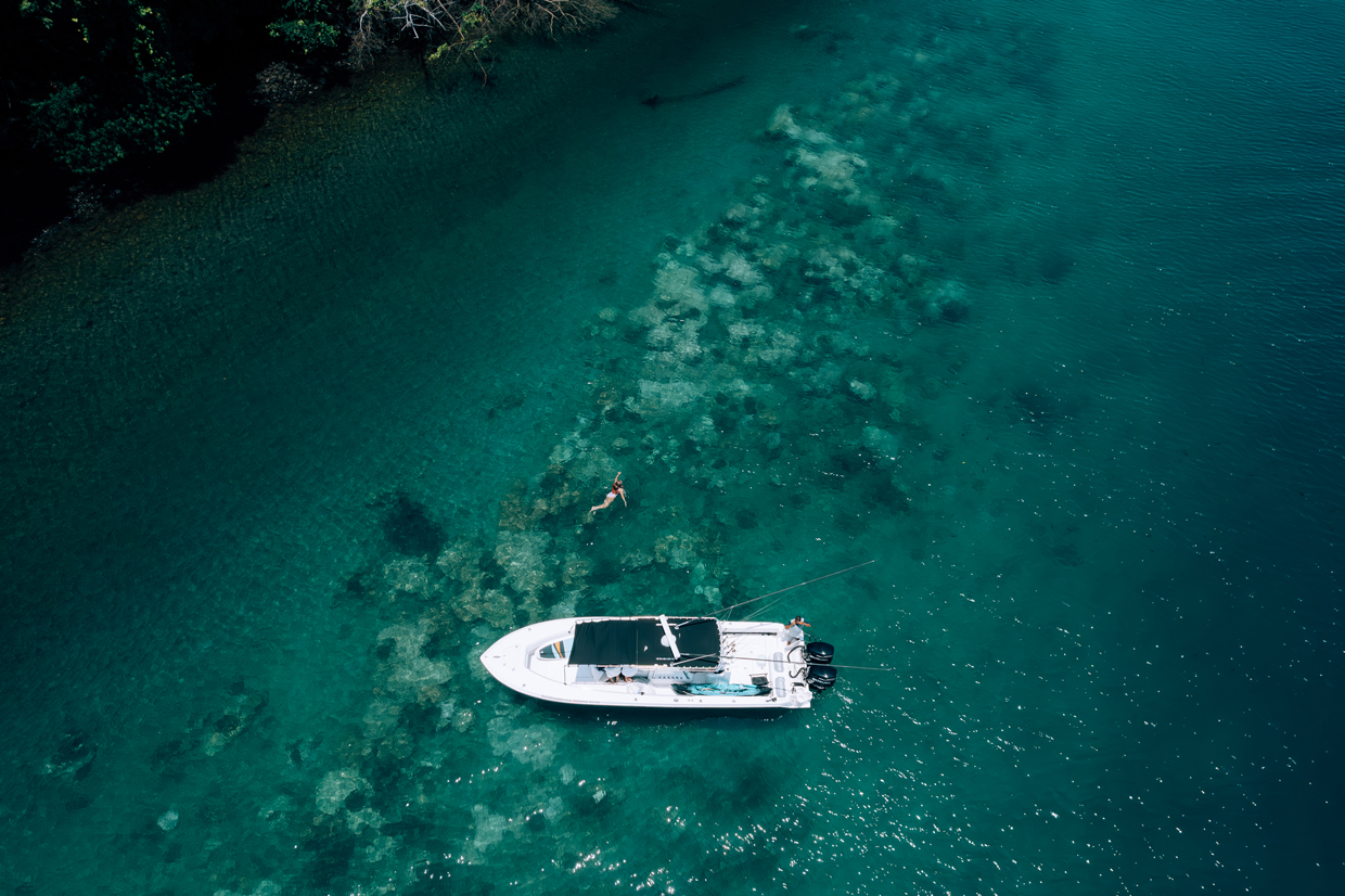 Golfo Dulce: el mejor escenario para el avistamiento de ballenas en Costa Rica