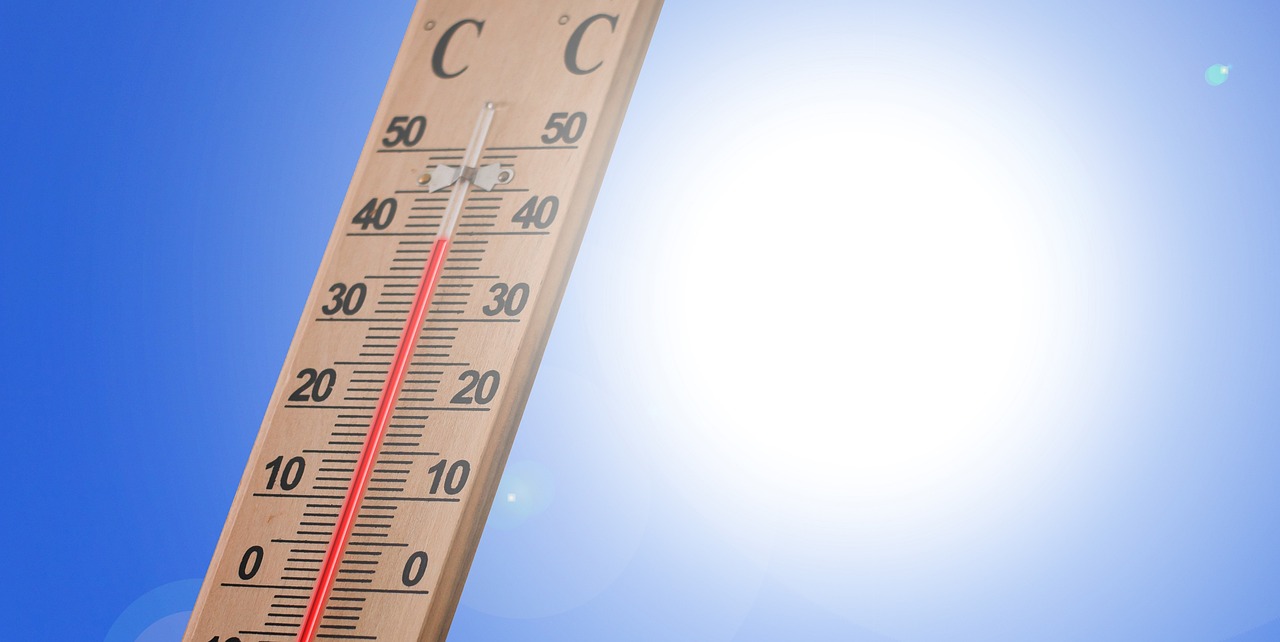 Julio de 2023 ya es el mes más caluroso jamás registrado, afirma la Organización Meteorológica Mundial