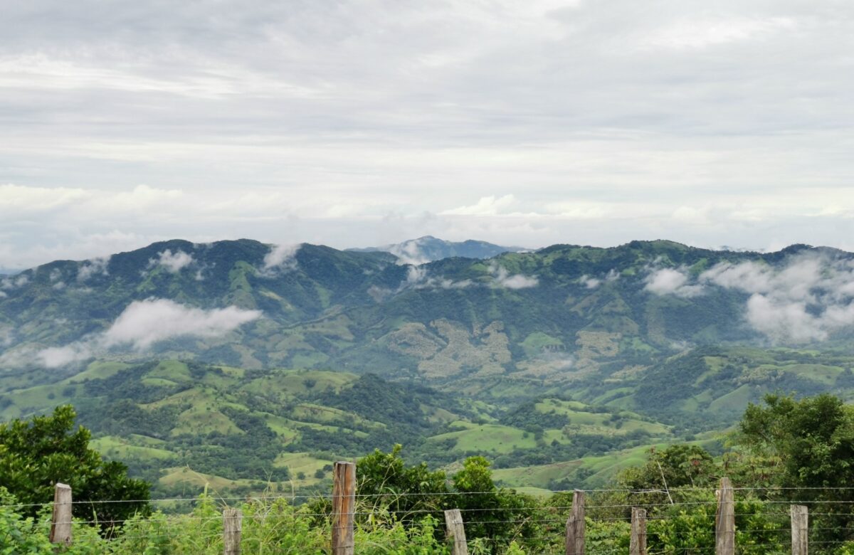 Nuevo Proyecto busca impulsar la conservación y el uso sostenible de bosques secundarios en Costa Rica para la generación de empleo rural en el país