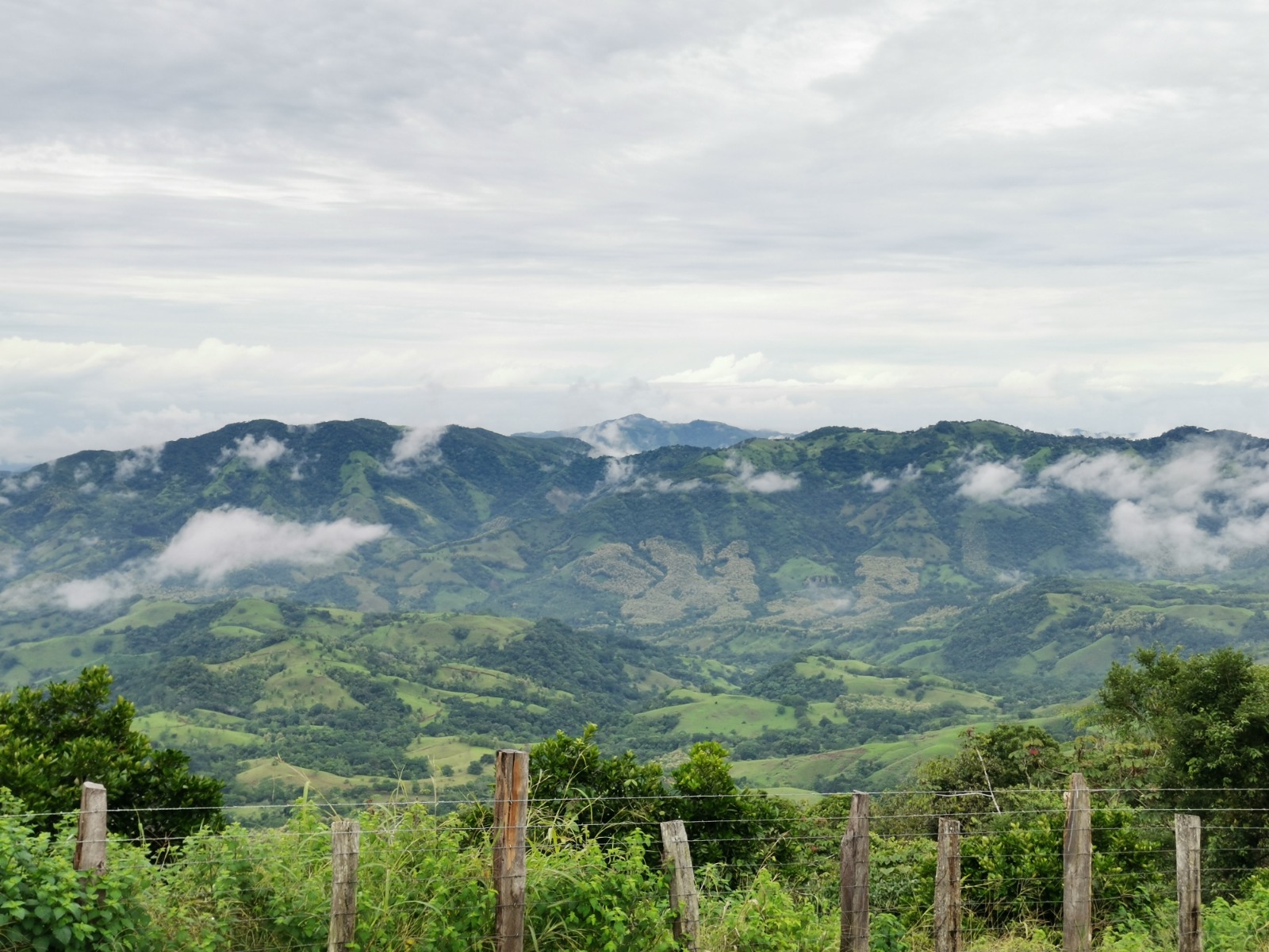 Nuevo Proyecto busca impulsar la conservación y el uso sostenible de bosques secundarios en Costa Rica para la generación de empleo rural en el país