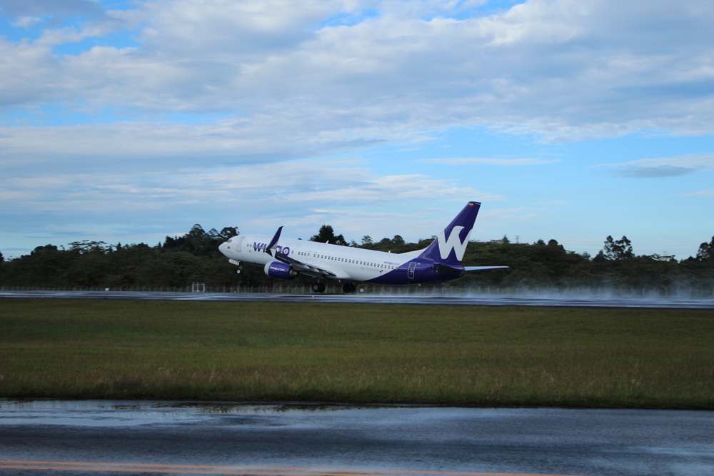 Nace Wingo Panamá, la primera aerolínea de ultra bajo costo del país