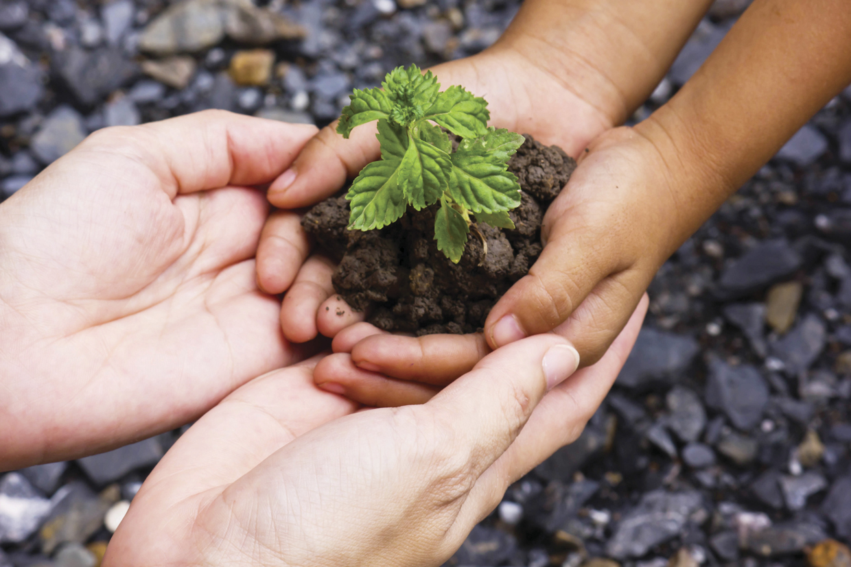Grupo Promerica, Sostenibilidad: pilar estratégico para el Grupo