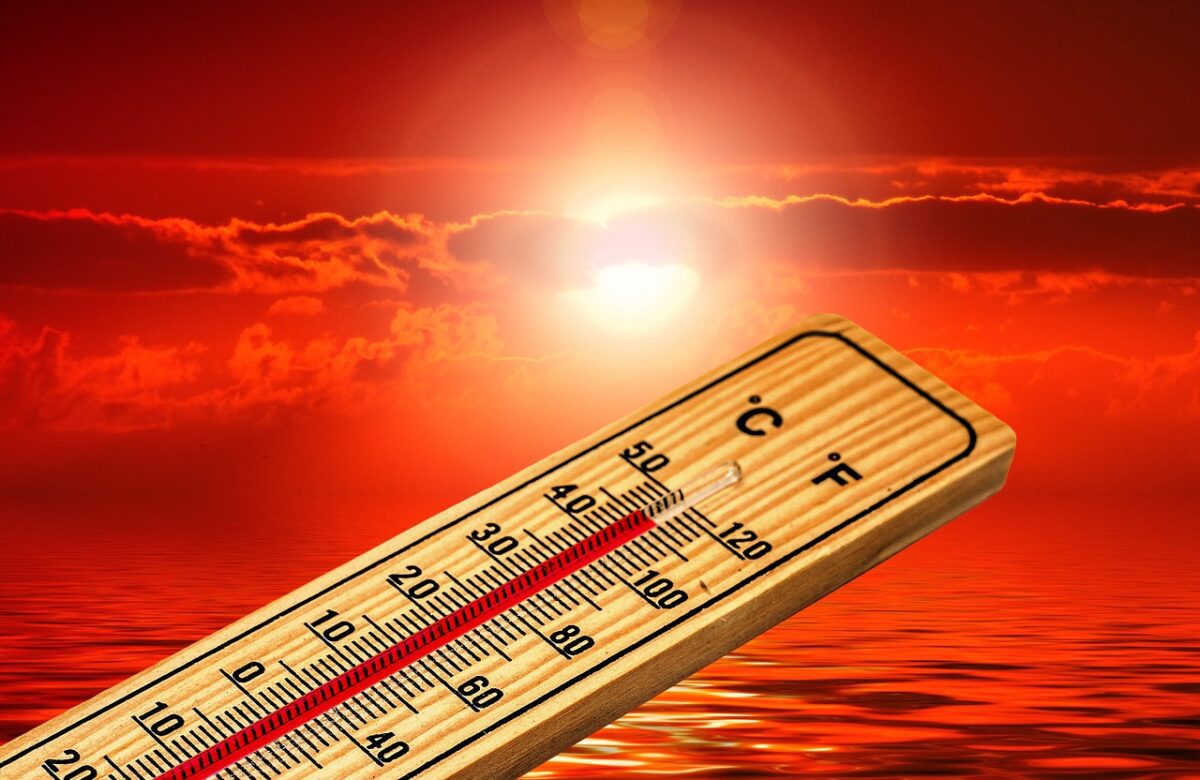 Cómo impacto el mes más caluroso de la historia en América