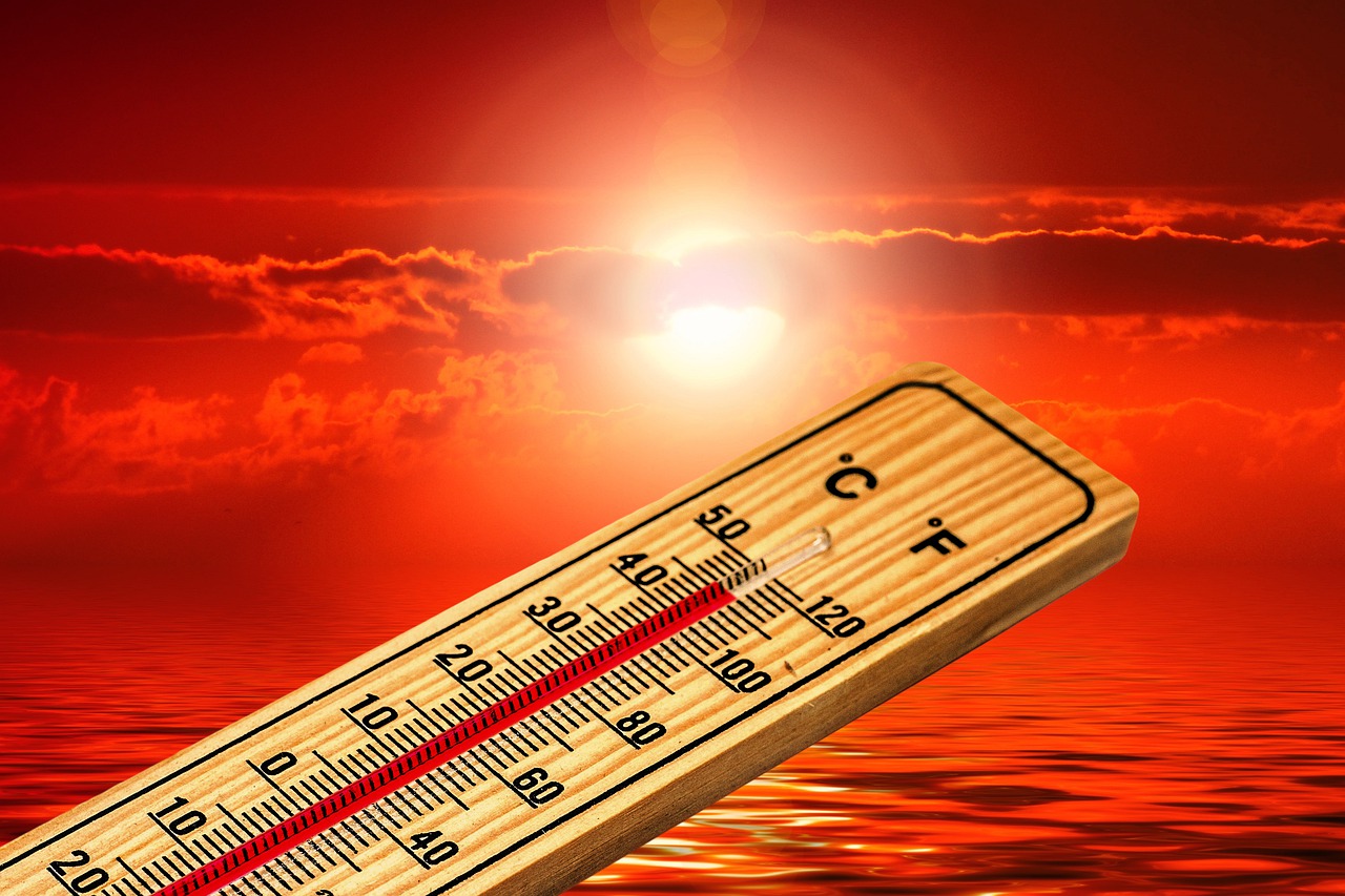 Cómo impacto el mes más caluroso de la historia en América