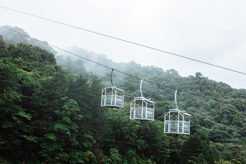 Costa Rica Sky Adventures evoluciona a Treetopia: una nueva era en el turismo de aventura en Monteverde