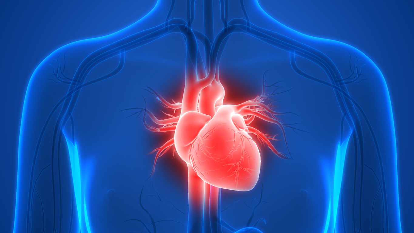 Practique 9 hábitos cardiosaludables para minimizar  los efectos del síndrome del corazón rígido