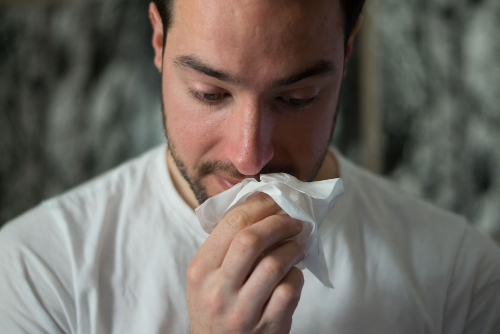 Estrategias para mitigar alergias, eligiendo los alimentos correctos