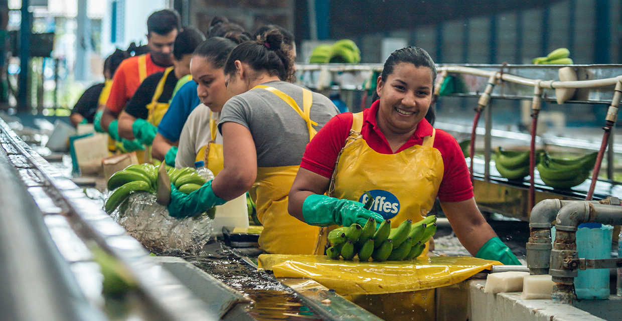 Fyffes publica segundo informe de sostenibilidad y avances en sus metas