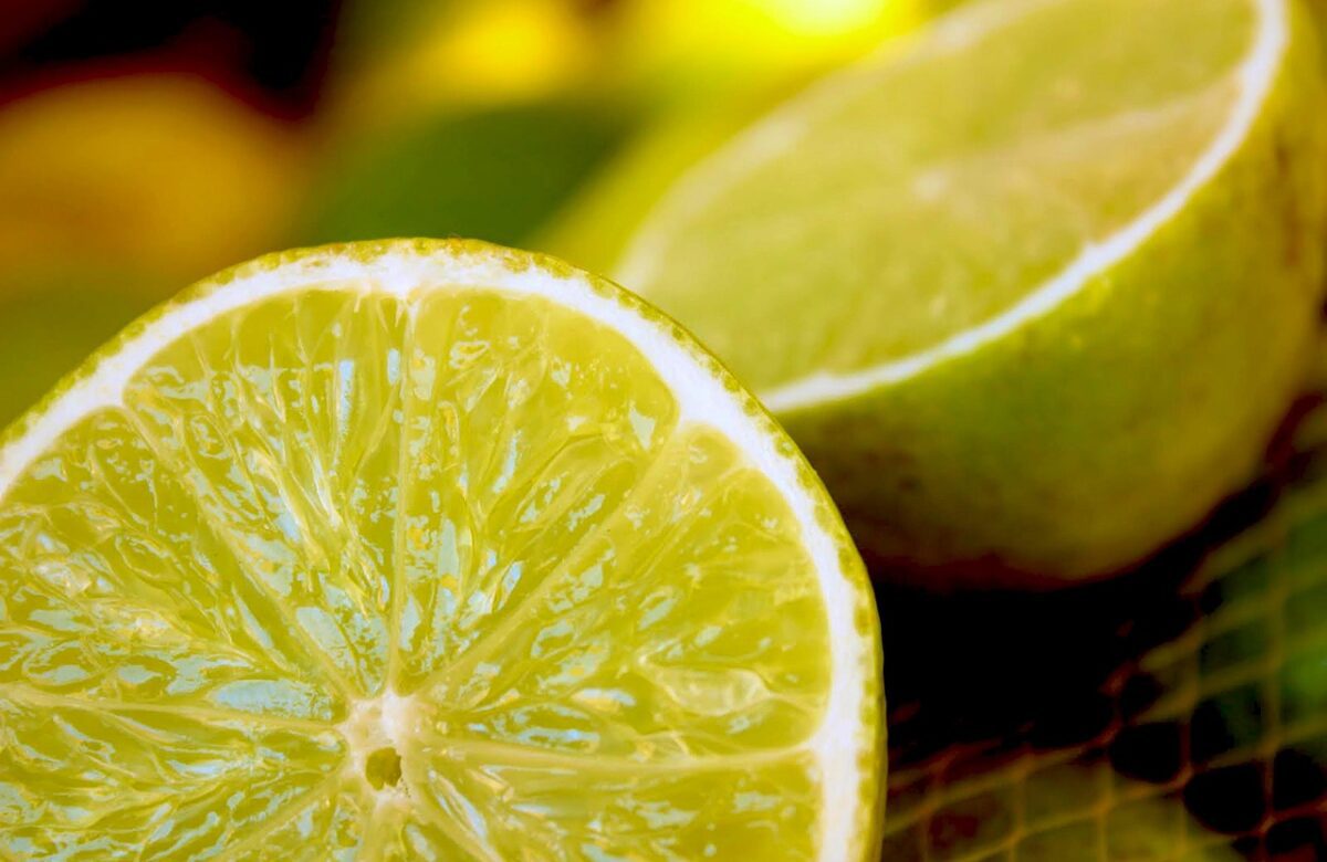 Día del Limón: 5 cócteles frescos para festejar al rey de los cítricos