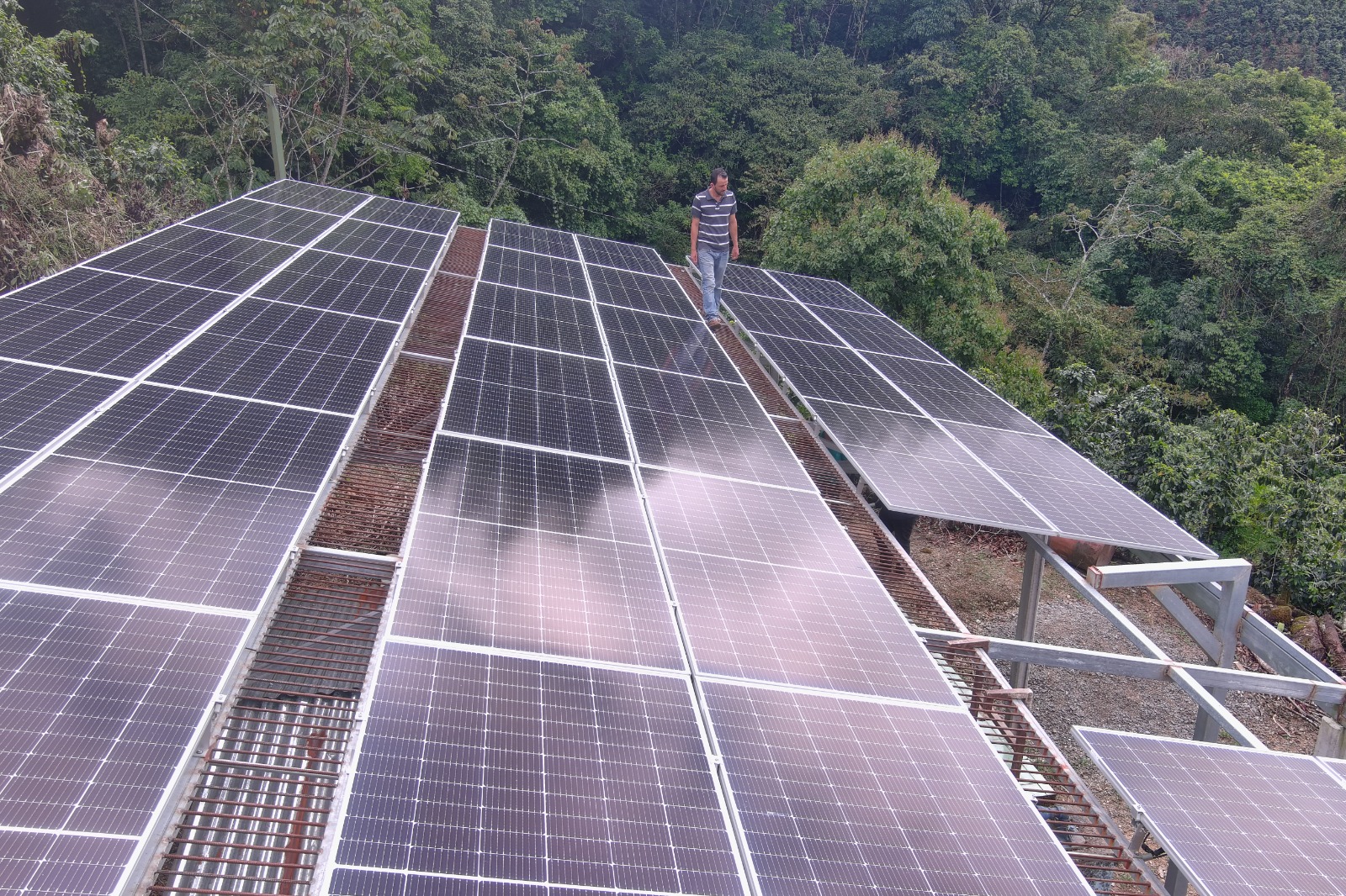 Paneles solares siguen siendo rentables para comercios e industrias pese a aumento en tarifas