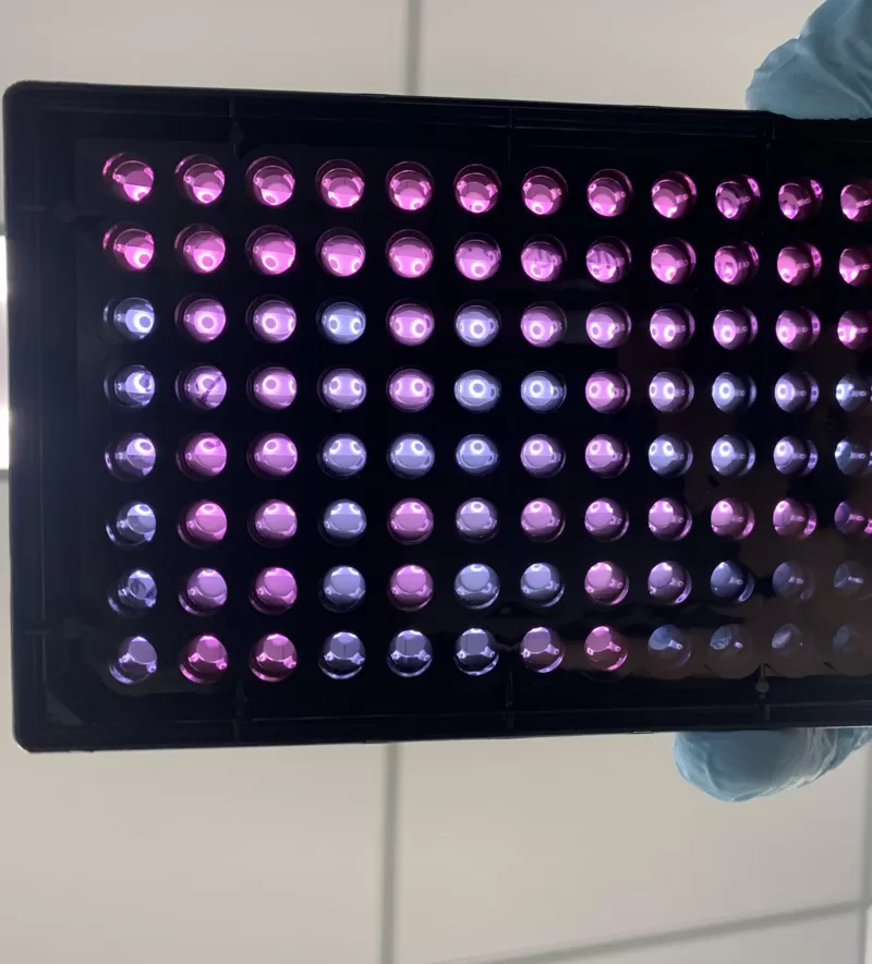 Cómo puede ayudar la inteligencia artificial en la búsqueda de la eterna juventud