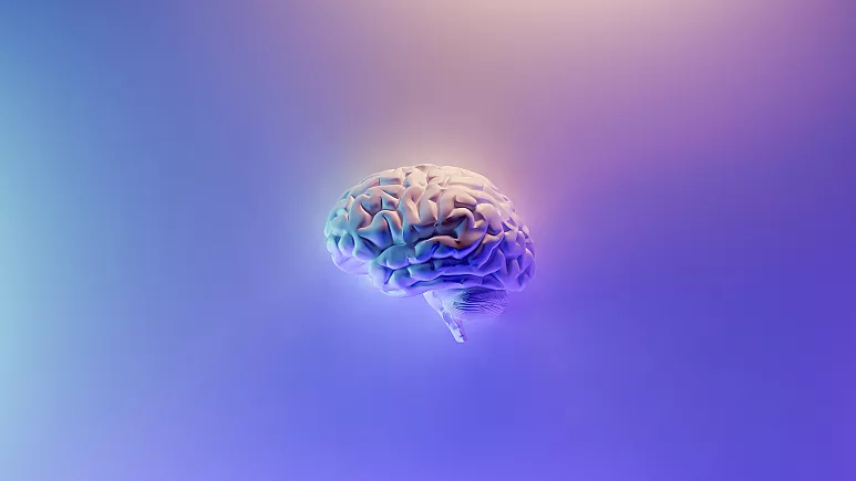 ¿Podrán algún día los ordenadores funcionar con cerebros de verdad?