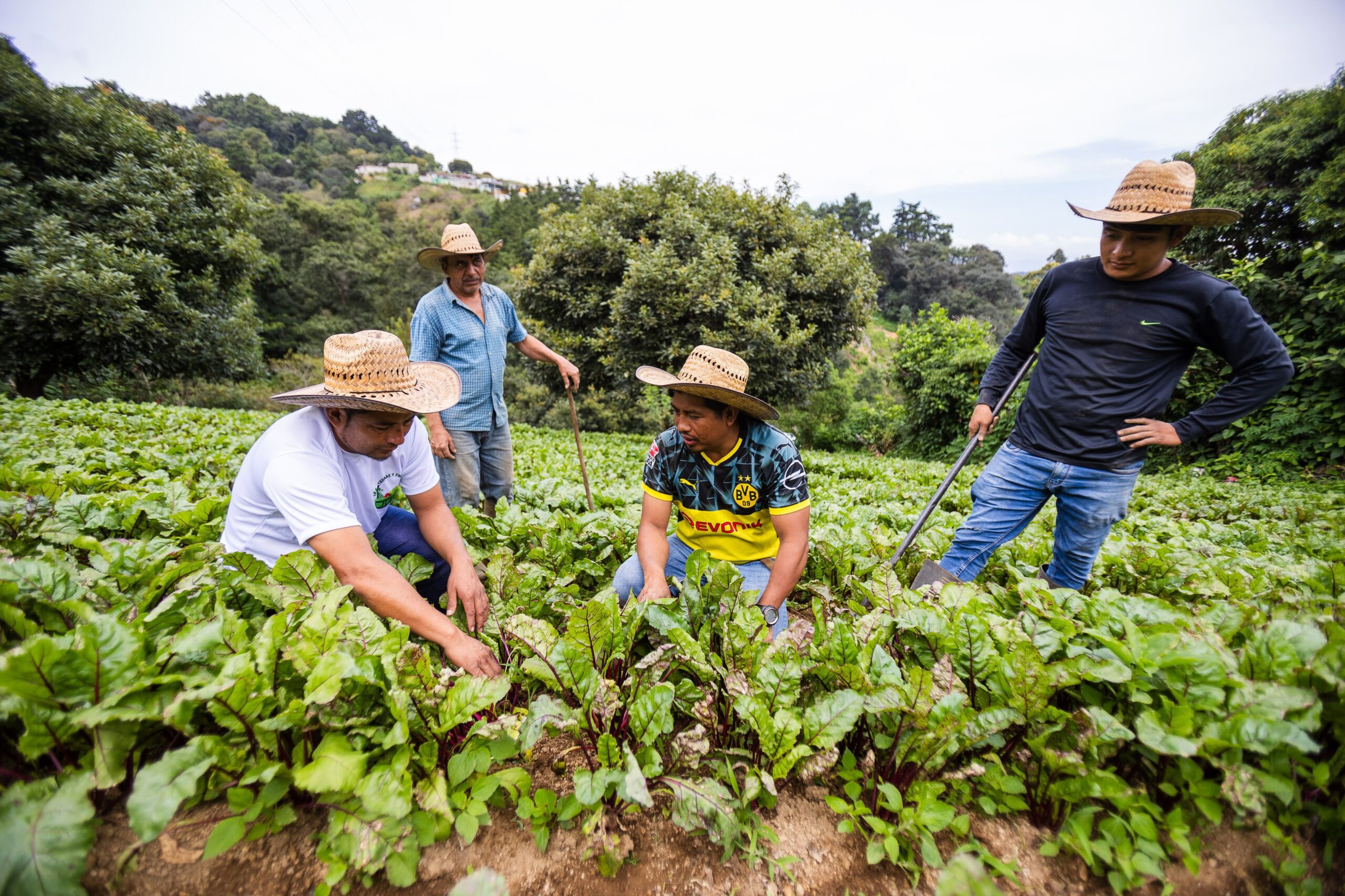 Distribuidora de Verduras July: el sueño hecho realidad de la familia Martínez y su comunidad