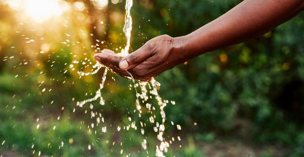 El llamado de la FAO para una gestión responsable del agua