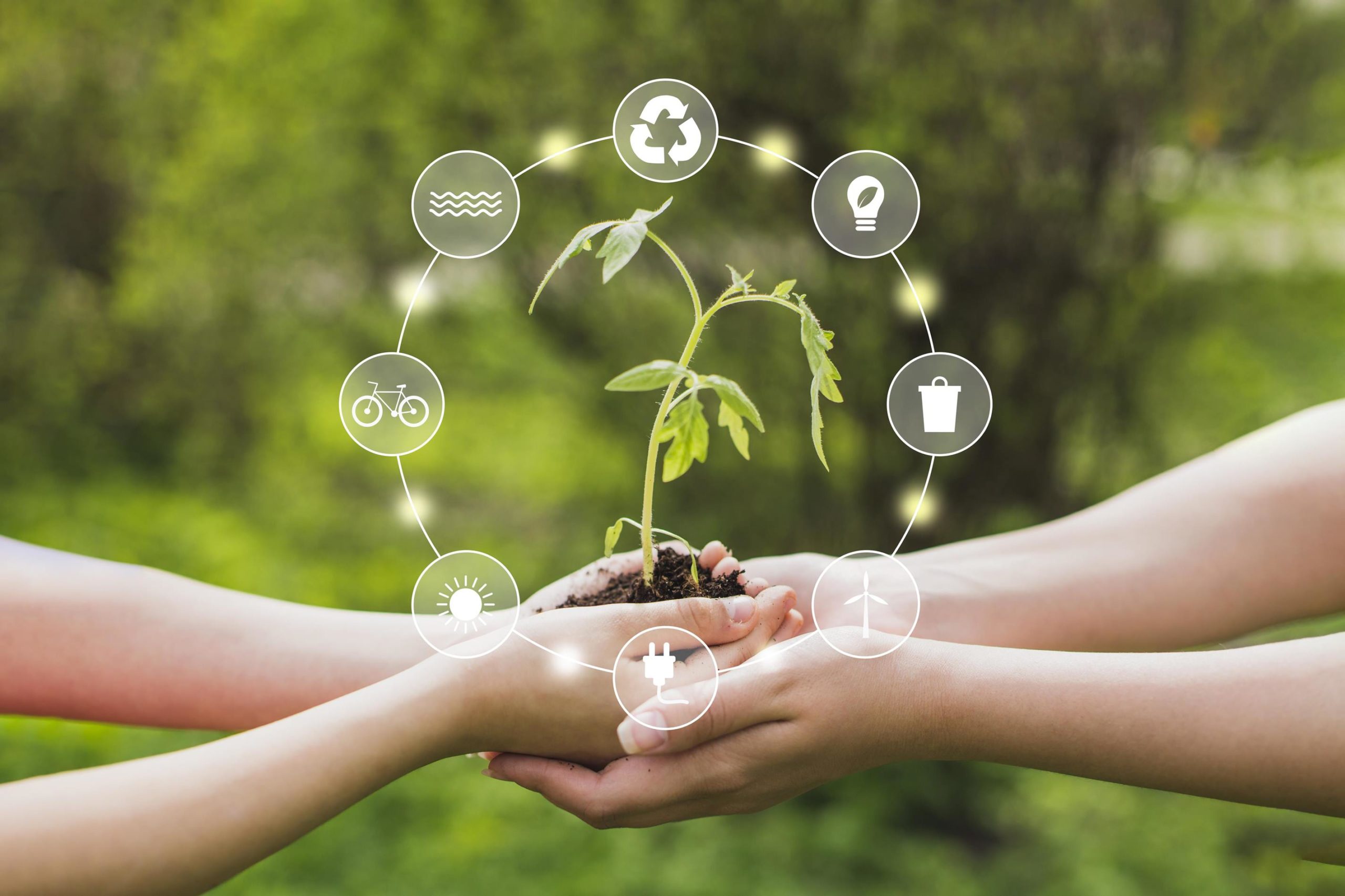 Banco Mundial apuesta a la economía verde y digital en América Latina