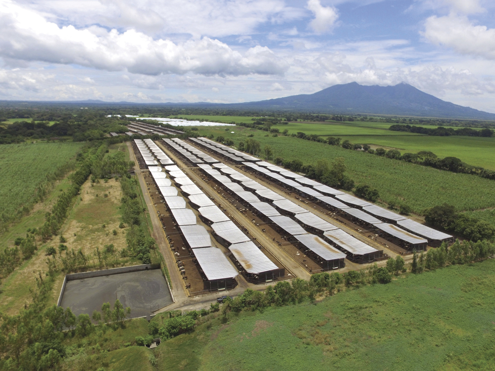 Carnes San Martín, Inversiones que hacen crecer al sector agroalimentario
