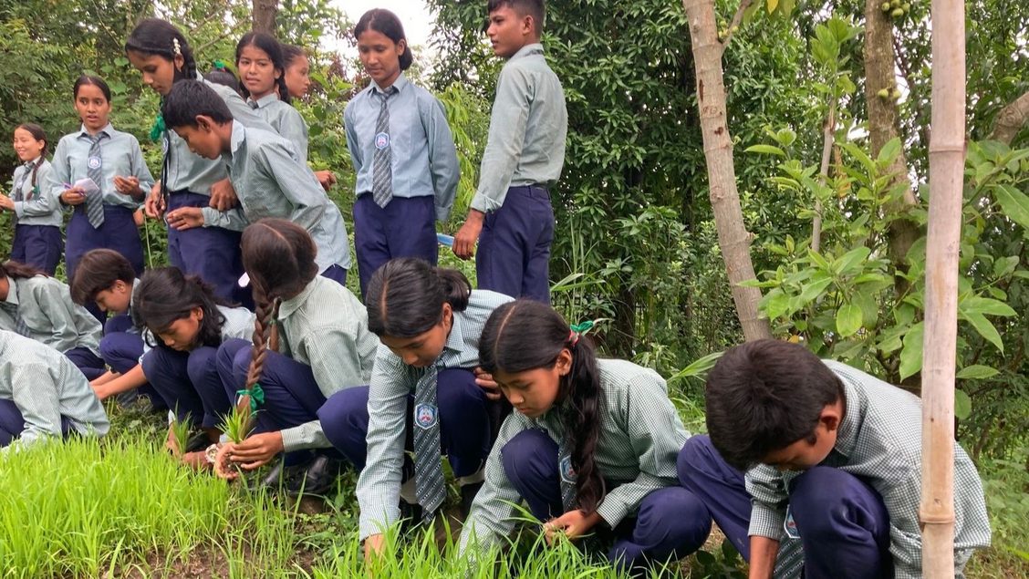Cinco latinoamericanos entre los finalistas del Premio Zayed a la Sostenibilidad del gobierno de los Emiratos Árabes Unidos