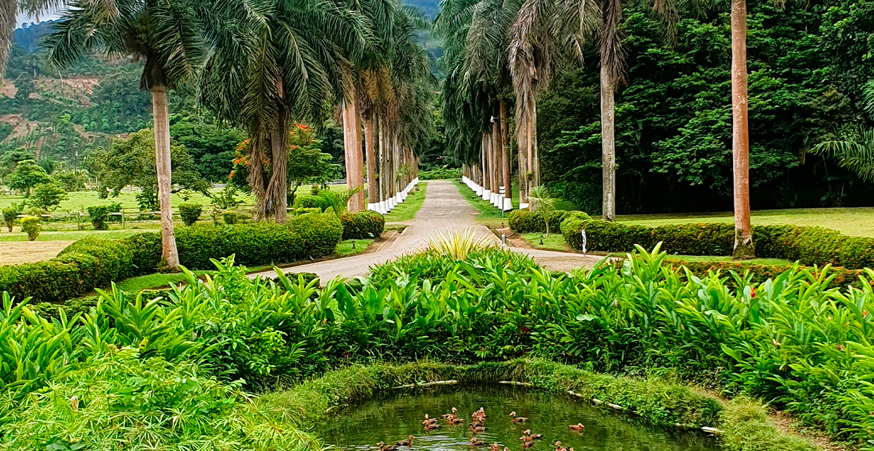Turrialba: el destino ideal para sus vacaciones