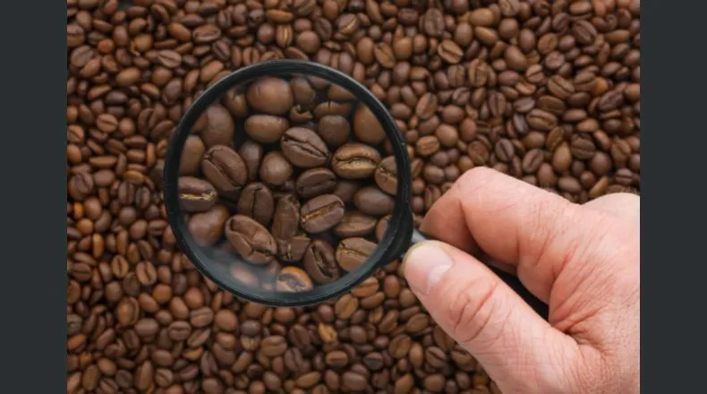 Café salvadoreño es promocionado en Dubai
