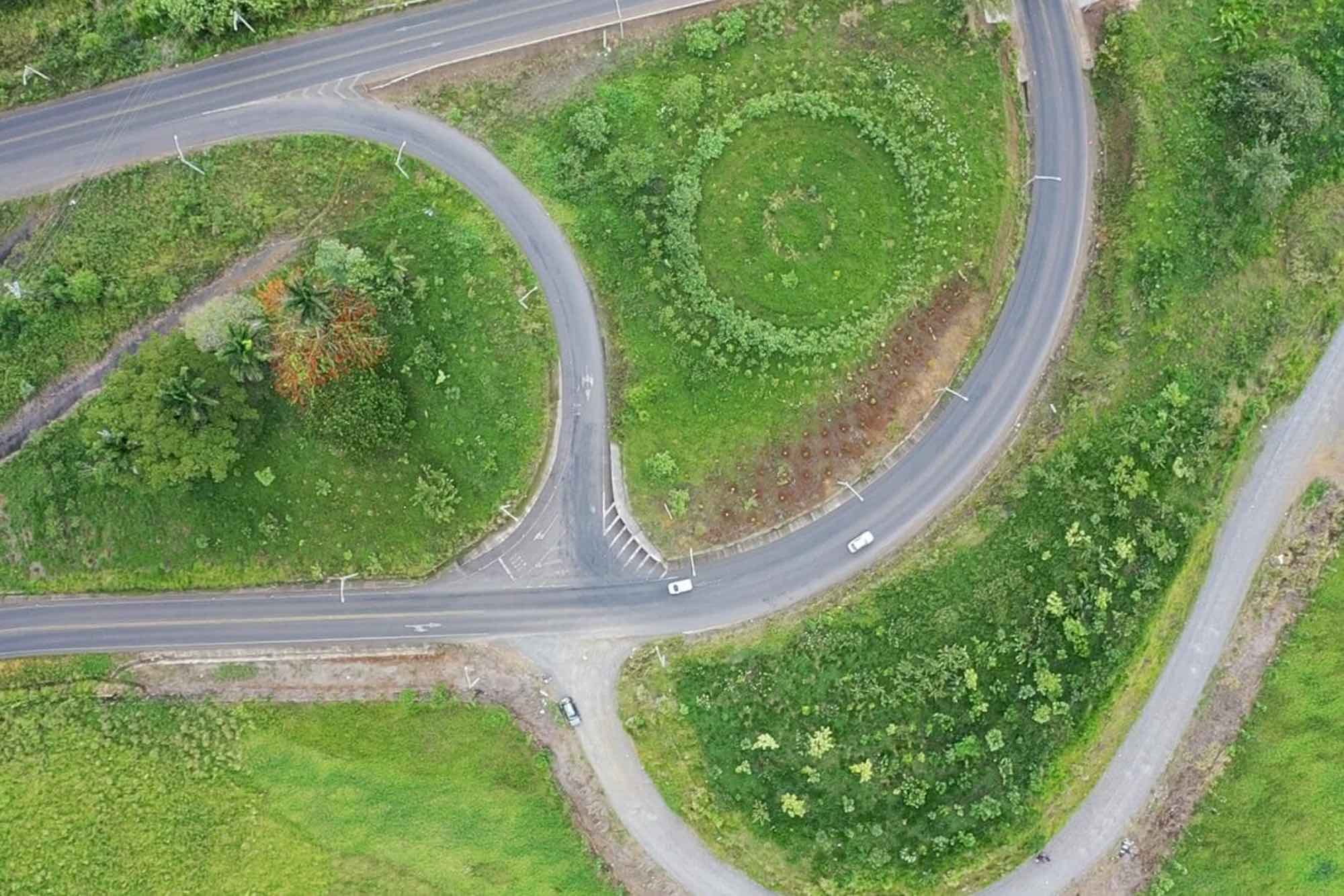 Iniciativa permitirá siembra de 2886 árboles en rutas del GAM de Costa Rica