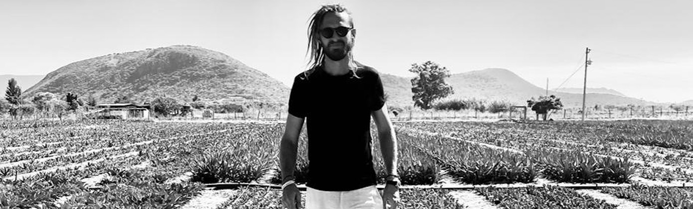 Construyendo en armonía con la naturaleza