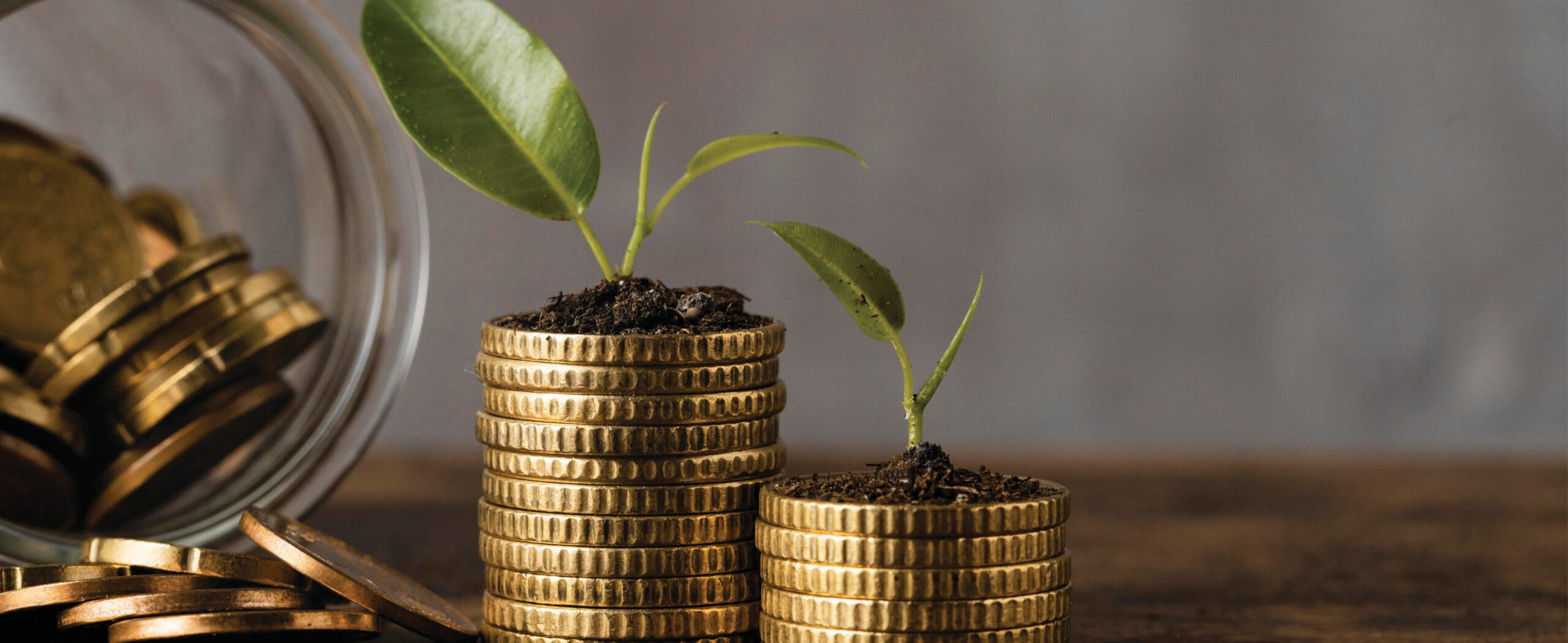 Invertir el aguinaldo o una parte de él puede ser el primer paso para alcanzar éxito financiero