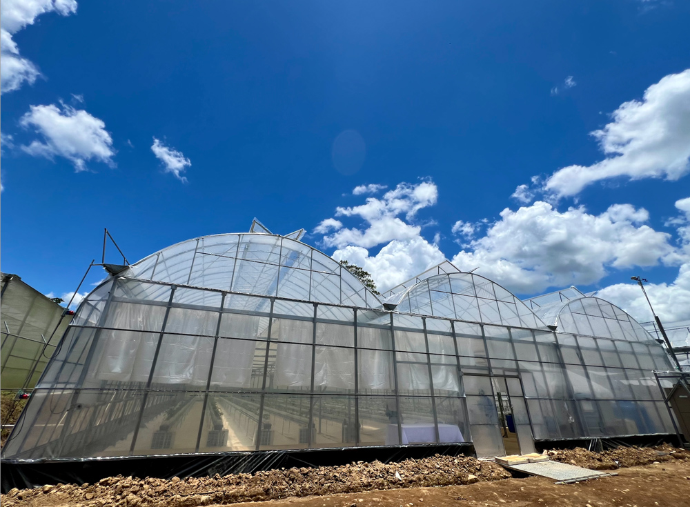 Costa Rica pone en funcionamiento primer invernadero inteligente con el apoyo del BCIE y la República de Corea