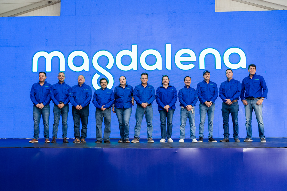 La importancia de renovarse: ¿Por qué el cambio de imagen es crucial para las empresas?