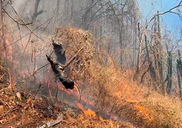 Cómo proteger sus pulmones en medio del humo de los incendios forestales