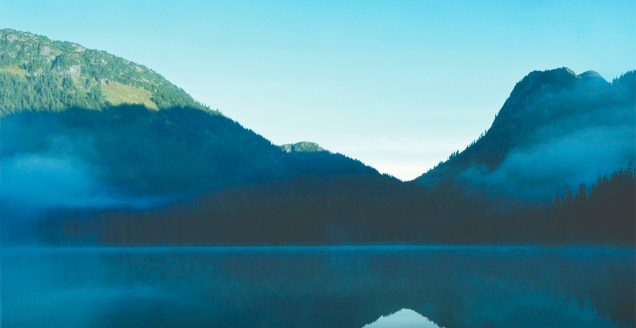 Scotiabank abrió convocatoria para apoyar organizaciones que lideran investigaciones sobre el clima y la descarbonización